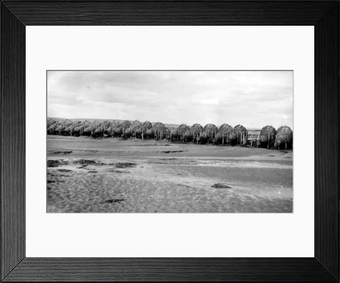 Framed Print : Lines of Putcher fsalmon baskets stretched across the River Severn, circa 1920 Framed Print : Lines of Putcher fsalmon baskets stretched across the River Severn, circa 1920