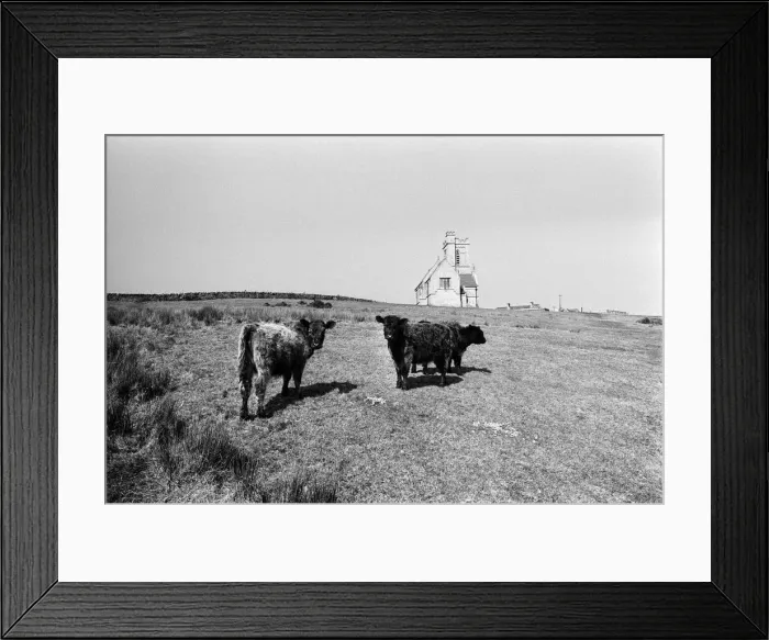 Framed Print : General scenes on Lundy Island. Lundy is the largest island in the Bristol Channel Framed Print : General scenes on Lundy Island. Lundy is the largest island in the Bristol Channel