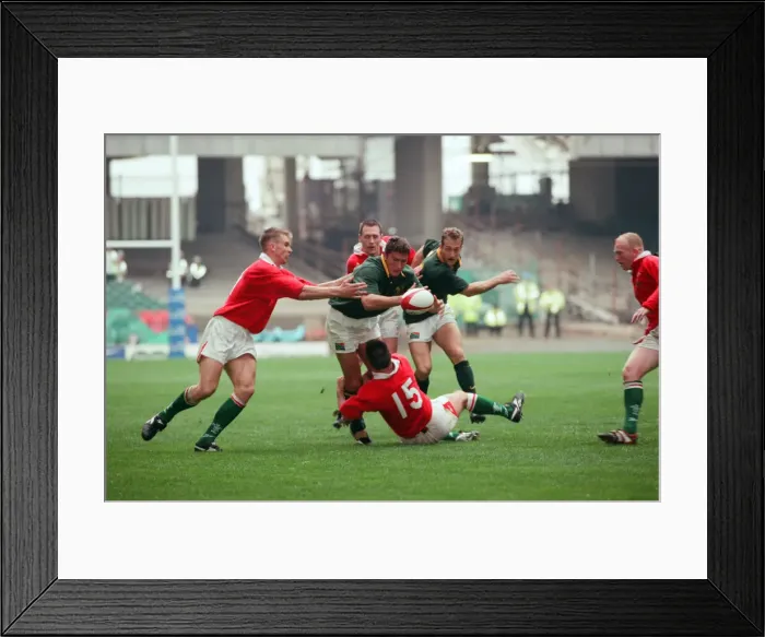 Framed Print : International friendly rugby match, Wales v South Africa. Wales won the match 29 - 19