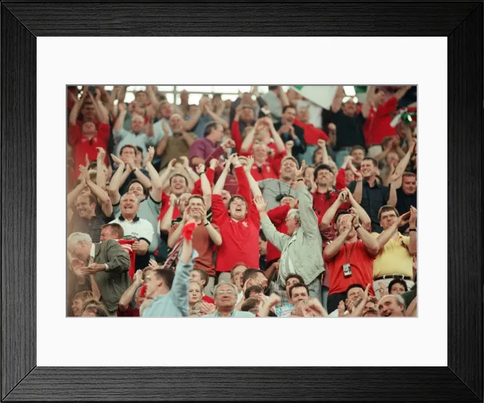 Framed Print : International friendly rugby match, Wales v South Africa. Wales won the match 29 - 19 Framed Print : International friendly rugby match, Wales v South Africa. Wales won the match 29 - 19