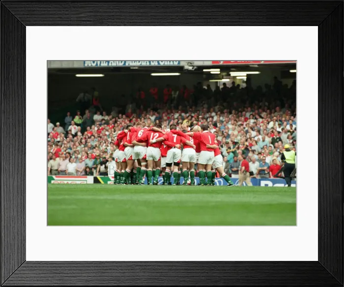 Framed Print : International friendly rugby match, Wales v South Africa. Wales won the match 29 - 19 Framed Print : International friendly rugby match, Wales v South Africa. Wales won the match 29 - 19
