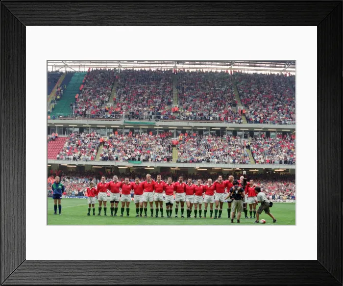Framed Print : International friendly rugby match, Wales v South Africa. Wales won the match 29 - 19 Framed Print : International friendly rugby match, Wales v South Africa. Wales won the match 29 - 19