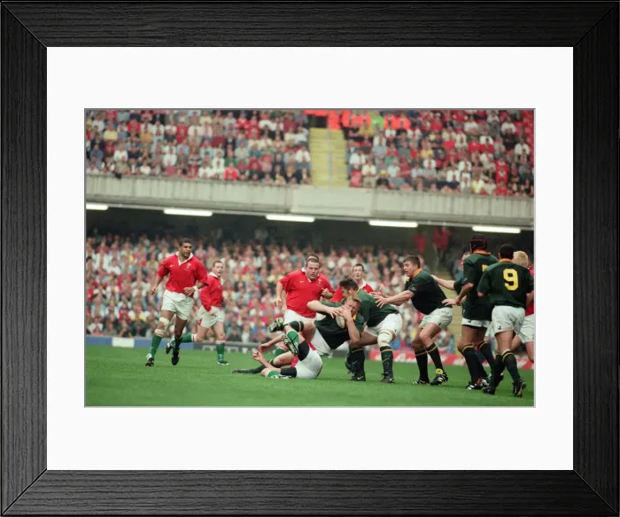 Framed Print : International friendly rugby match, Wales v South Africa. Wales won the match 29 - 19 Framed Print : International friendly rugby match, Wales v South Africa. Wales won the match 29 - 19