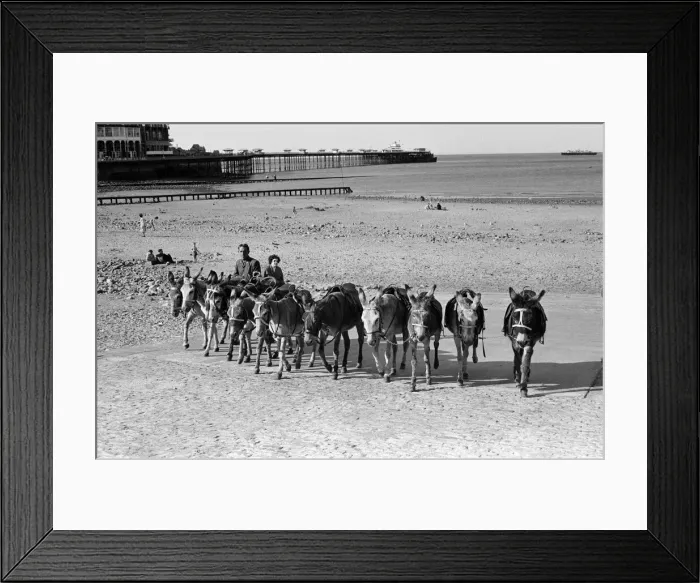 Framed Print : Llandudno, a seaside town in Conwy County Borough, Wales. Donkeys on the beach Framed Print : Llandudno, a seaside town in Conwy County Borough, Wales. Donkeys on the beach