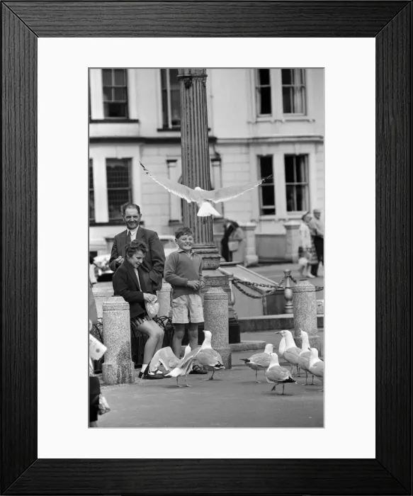 Framed Print : Llandudno, a seaside town in Conwy County Borough, Wales. Children feeding the seagulls Framed Print : Llandudno, a seaside town in Conwy County Borough, Wales. Children feeding the seagulls