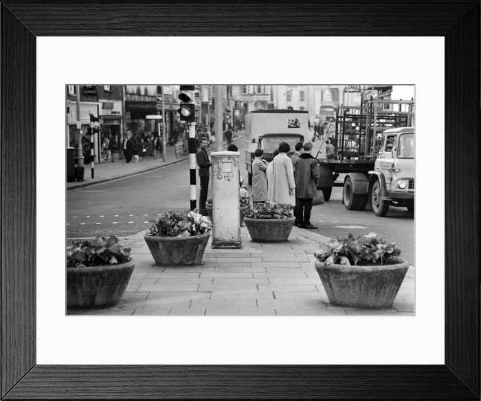 Framed Print : Cabbages replace flowers in Luton High Street, Bedfordshire. 11th October 1966 Framed Print : Cabbages replace flowers in Luton High Street, Bedfordshire. 11th October 1966