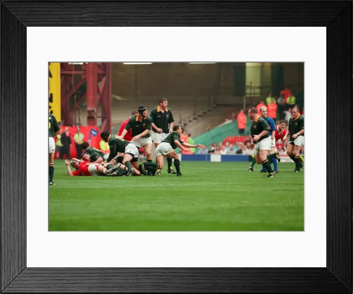 Framed Print : International friendly rugby match, Wales v South Africa. Wales won the match 29 - 19 Framed Print : International friendly rugby match, Wales v South Africa. Wales won the match 29 - 19