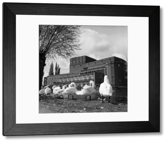 Framed Print : Royal Shakespeare Theatre, Stratford-upon-Avon, Warwickshire. 27th April 1961 Framed Print : Royal Shakespeare Theatre, Stratford-upon-Avon, Warwickshire. 27th April 1961