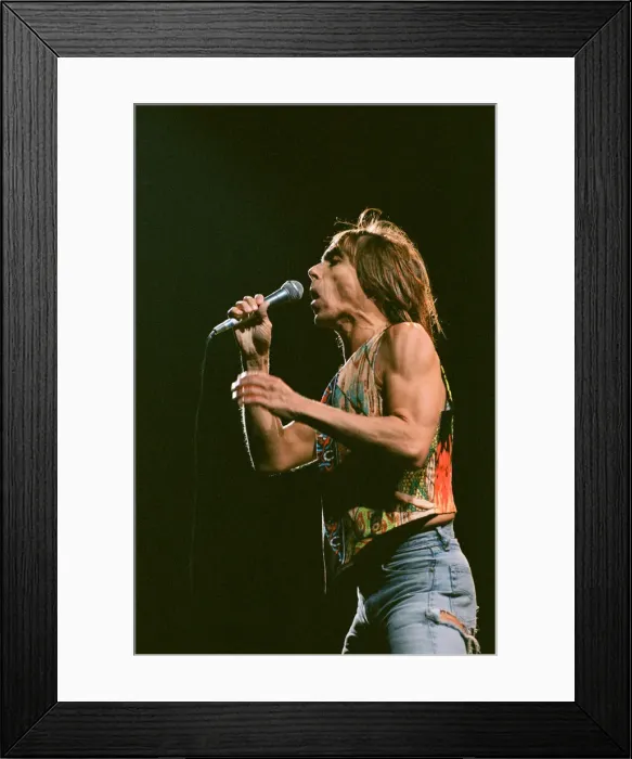 Framed Print : Iggy Pop (USA singer) performing at The Reading Rock Festival, Little Johns Farm Framed Print : Iggy Pop (USA singer) performing at The Reading Rock Festival, Little Johns Farm