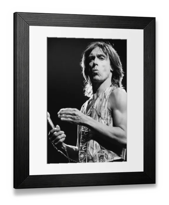 Framed Print : Iggy Pop (USA singer) performing at The Reading Rock Festival, Little Johns Farm
