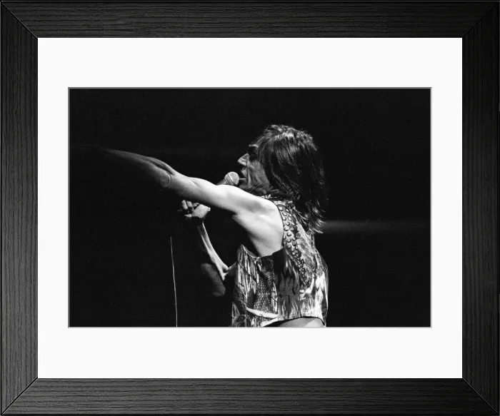 Framed Print : Iggy Pop (USA singer) performing at The Reading Rock Festival, Little Johns Farm Framed Print : Iggy Pop (USA singer) performing at The Reading Rock Festival, Little Johns Farm