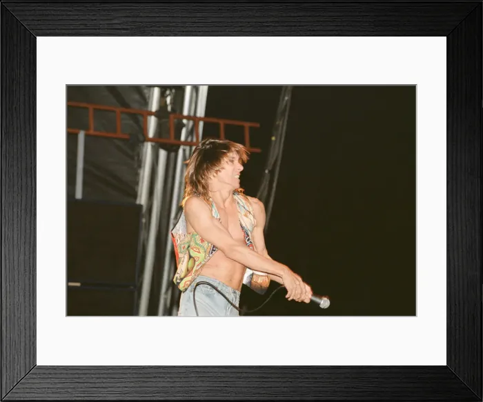 Framed Print : Iggy Pop (USA singer) performing at The Reading Rock Festival, Little Johns Farm Framed Print : Iggy Pop (USA singer) performing at The Reading Rock Festival, Little Johns Farm