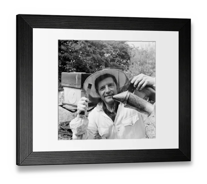 Framed Print : Beekeeper, G Baitey, holding Smoker with heat shield and hook, Newcastle, 22nd July 1971