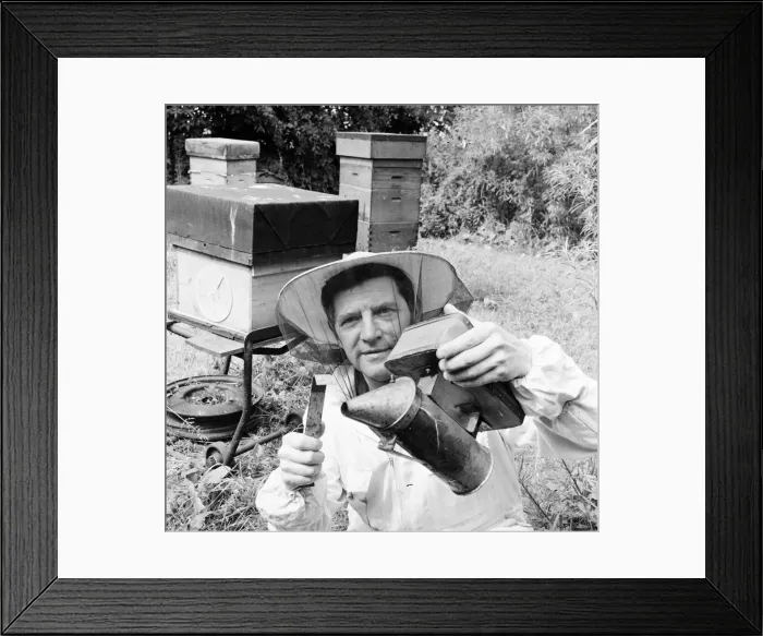 Framed Print : Beekeeper, G Baitey, holding Smoker with heat shield and hook, Newcastle, 22nd July 1971 Framed Print : Beekeeper, G Baitey, holding Smoker with heat shield and hook, Newcastle, 22nd July 1971