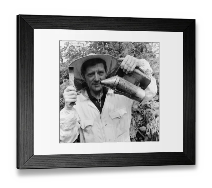 Framed Print : Beekeeper, G Baitey, holding Smoker with heat shield and hook, Newcastle, 22nd July 1971 Framed Print : Beekeeper, G Baitey, holding Smoker with heat shield and hook, Newcastle, 22nd July 1971