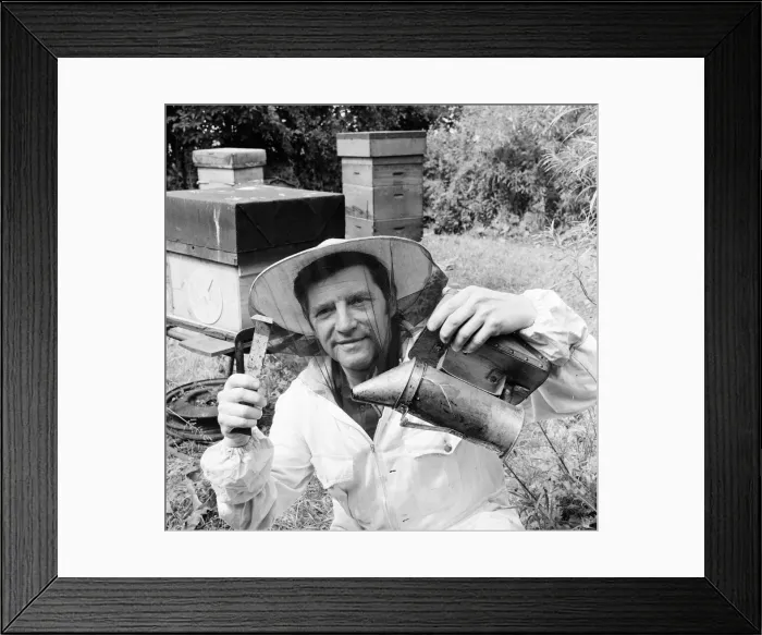 Framed Print : Beekeeper, G Baitey, holding Smoker with heat shield and hook, Newcastle, 22nd July 1971 Framed Print : Beekeeper, G Baitey, holding Smoker with heat shield and hook, Newcastle, 22nd July 1971