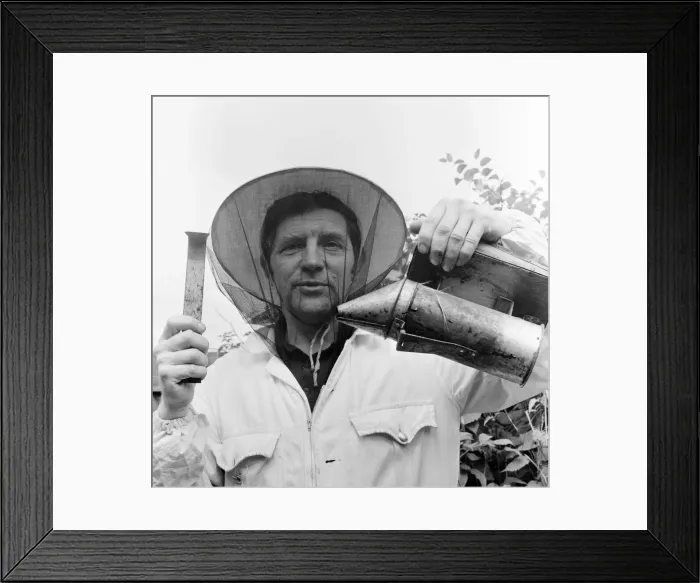Framed Print : Beekeeper, G Baitey, holding Smoker with heat shield and hook, Newcastle, 22nd July 1971 Framed Print : Beekeeper, G Baitey, holding Smoker with heat shield and hook, Newcastle, 22nd July 1971