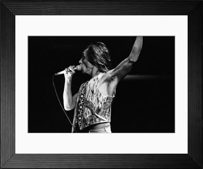 Framed Print : Iggy Pop (USA singer) performing at The Reading Rock Festival, Little Johns Farm Framed Print : Iggy Pop (USA singer) performing at The Reading Rock Festival, Little Johns Farm