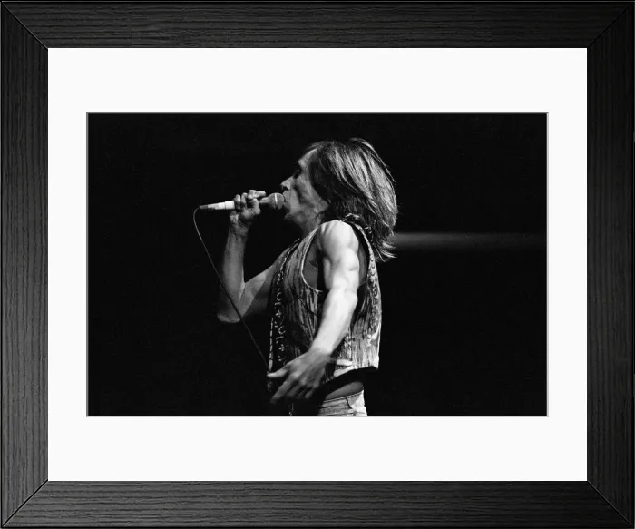 Framed Print : Iggy Pop (USA singer) performing at The Reading Rock Festival, Little Johns Farm Framed Print : Iggy Pop (USA singer) performing at The Reading Rock Festival, Little Johns Farm