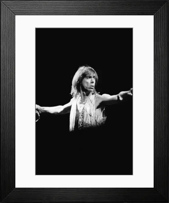 Framed Print : Iggy Pop (USA singer) performing at The Reading Rock Festival, Little Johns Farm Framed Print : Iggy Pop (USA singer) performing at The Reading Rock Festival, Little Johns Farm