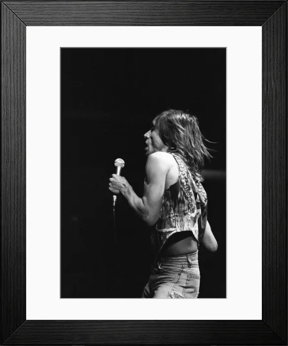 Framed Print : Iggy Pop (USA singer) performing at The Reading Rock Festival, Little Johns Farm Framed Print : Iggy Pop (USA singer) performing at The Reading Rock Festival, Little Johns Farm