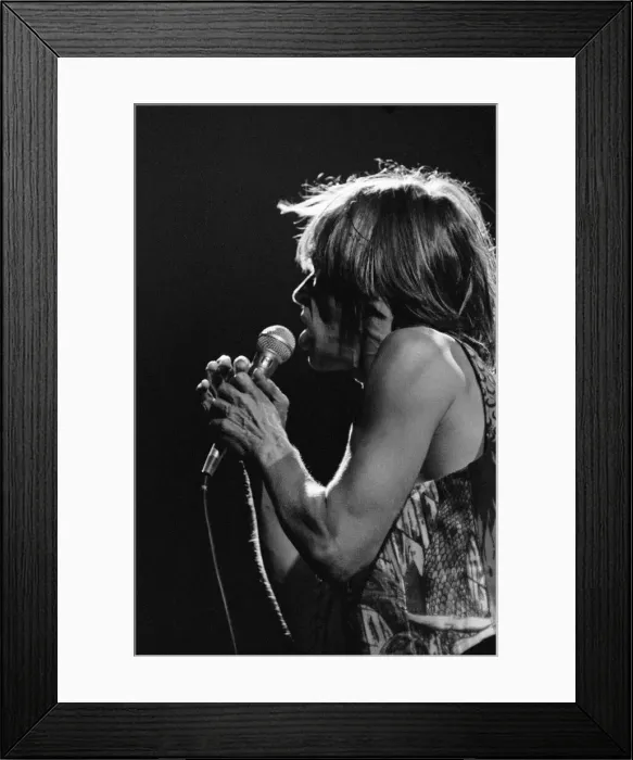 Framed Print : Iggy Pop (USA singer) performing at The Reading Rock Festival, Little Johns Farm Framed Print : Iggy Pop (USA singer) performing at The Reading Rock Festival, Little Johns Farm