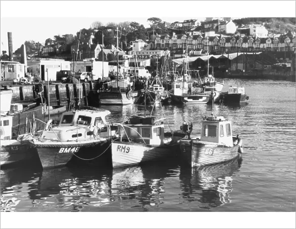 Brixham fishing boats in the outer harbour in December 1985