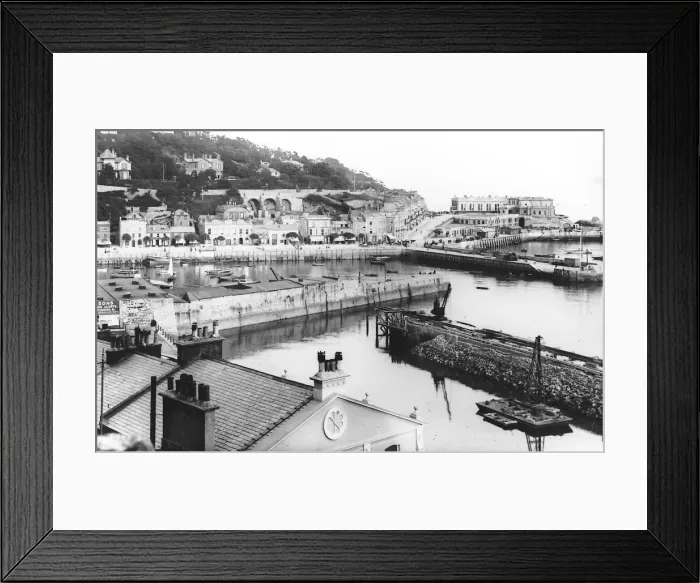 Framed Print : 01016540