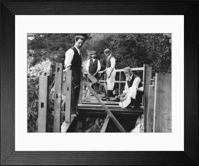 Framed Print : 01016544