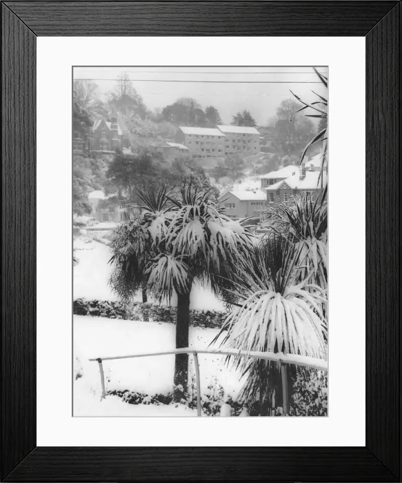 Framed Print : Snow scene. Torquay January 1962 Framed Print : Snow scene. Torquay January 1962