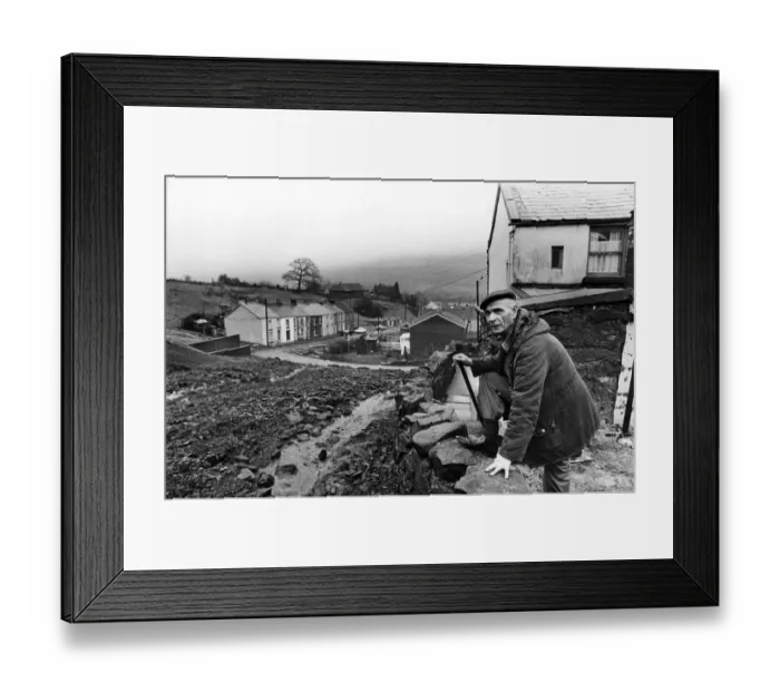 Framed Print : Mr Cyril Owens who lives in Bwllfa Cottages, Gelli, pictured in the garden of his home Framed Print : Mr Cyril Owens who lives in Bwllfa Cottages, Gelli, pictured in the garden of his home