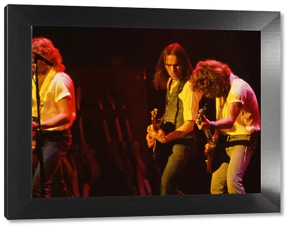 Status Quo, English rock band, onstage in 1981. Picture shows (left