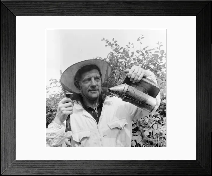 Framed Print : Beekeeper, G Baitey, holding Smoker with heat shield and hook, Newcastle, 22nd July 1971 Framed Print : Beekeeper, G Baitey, holding Smoker with heat shield and hook, Newcastle, 22nd July 1971