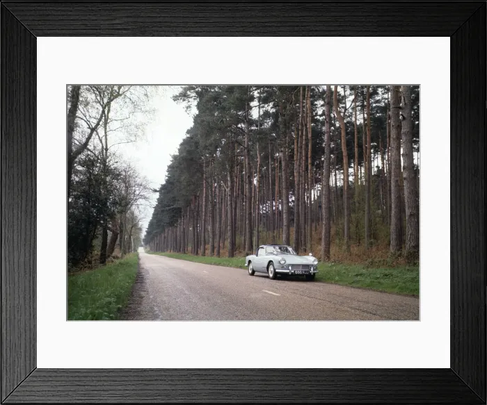 Framed Print : A Triumph Spitfire on a woodland road at Seale in Surrey. April 1964 Framed Print : A Triumph Spitfire on a woodland road at Seale in Surrey. April 1964