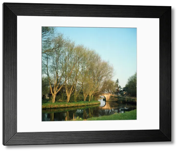 Framed Print : The River Thames at Radcot, Berkshire. 1973 Framed Print : The River Thames at Radcot, Berkshire. 1973
