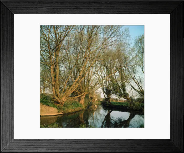 Framed Print : The River Thames at Radcot, Berkshire. 1973 Framed Print : The River Thames at Radcot, Berkshire. 1973