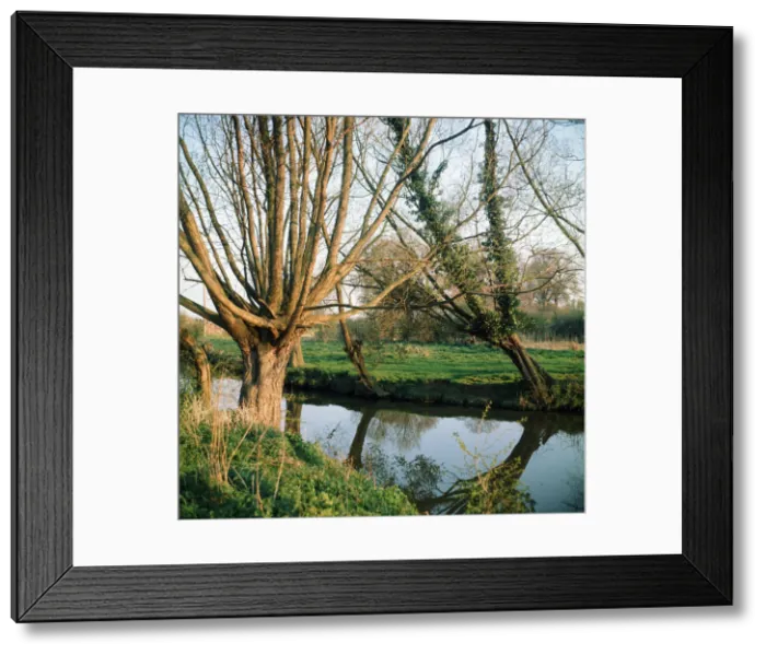 Framed Print : The River Thames at Radcot, Berkshire. 1973