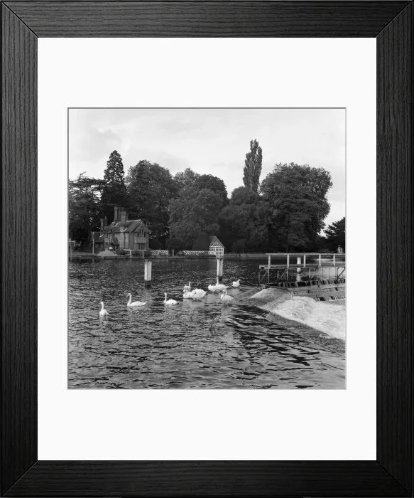 Framed Print : Scenes by the weir, Marlow, Buckinghamshire. 10th September 1954 Framed Print : Scenes by the weir, Marlow, Buckinghamshire. 10th September 1954