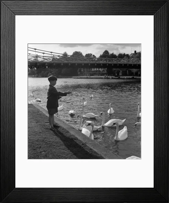 Framed Print : Scenes by the weir, Marlow, Buckinghamshire. 10th September 1954 Framed Print : Scenes by the weir, Marlow, Buckinghamshire. 10th September 1954