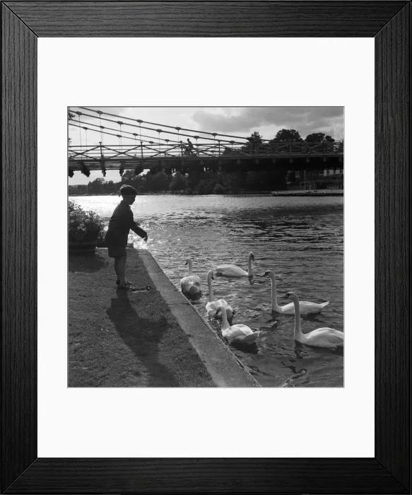 Framed Print : Scenes by the weir, Marlow, Buckinghamshire. 10th September 1954 Framed Print : Scenes by the weir, Marlow, Buckinghamshire. 10th September 1954