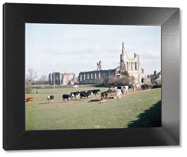 Byland Abbey, Ryedale, North Yorkshire. April 1974