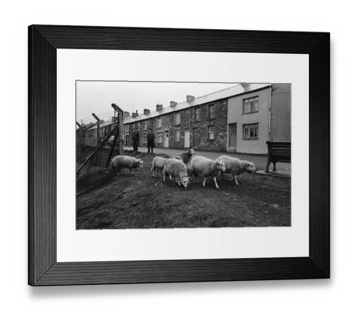Framed Print : Abertillery, the largest town of the Ebbw Fach valley in what was the historic county of