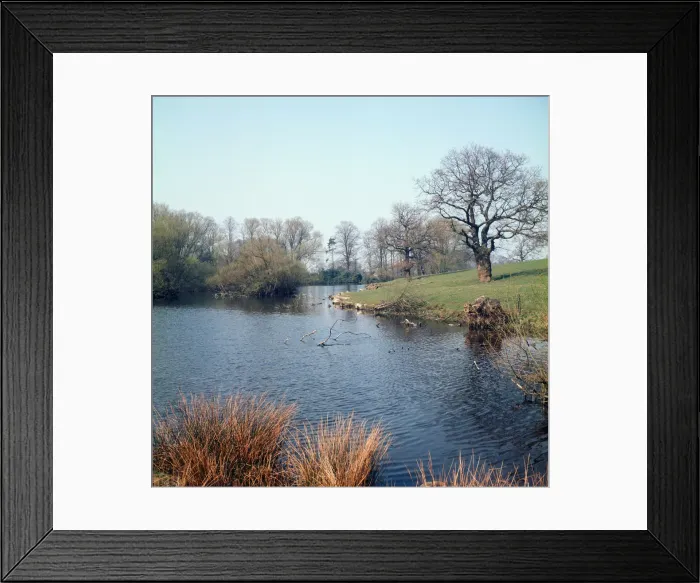 Framed Print : Alderley Edge, Cheshire. April 1974 Framed Print : Alderley Edge, Cheshire. April 1974
