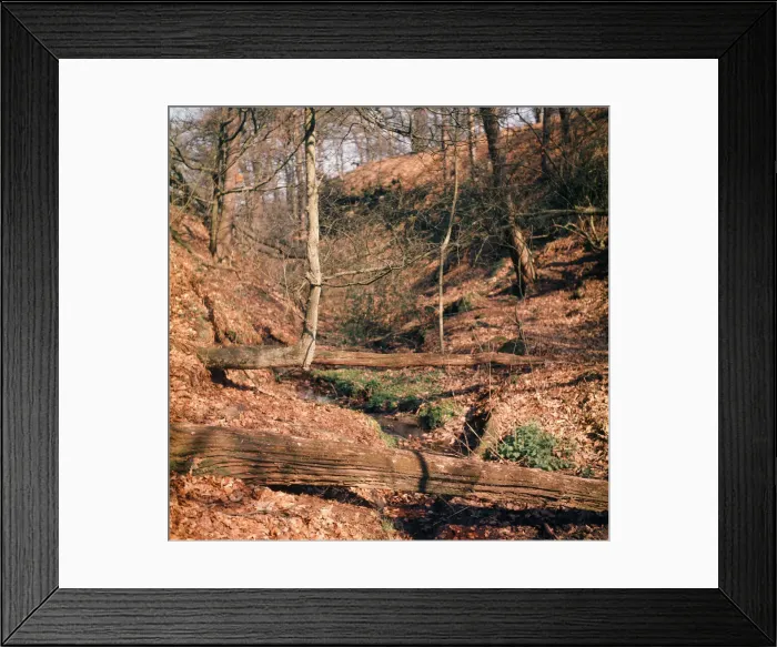 Framed Print : Alderley Edge, Cheshire. April 1974 Framed Print : Alderley Edge, Cheshire. April 1974