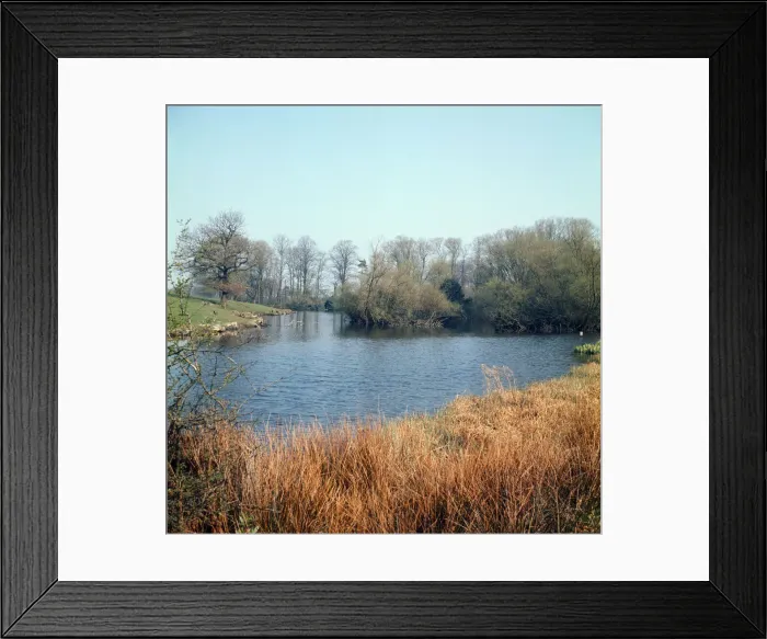 Framed Print : Alderley Edge, Cheshire. April 1974 Framed Print : Alderley Edge, Cheshire. April 1974