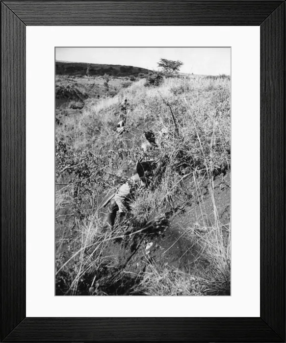 Framed Print : Abyssinian War October 1935 Abyssinian infantry advancing undercover on the Ogaden Framed Print : Abyssinian War October 1935 Abyssinian infantry advancing undercover on the Ogaden