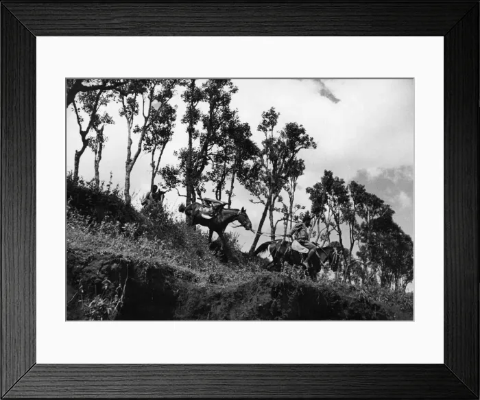 Framed Print : Abyssinian War September 1935 Abyssinian mobile gun team seen here in action Framed Print : Abyssinian War September 1935 Abyssinian mobile gun team seen here in action