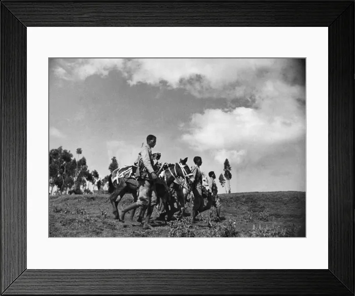Framed Print : Abyssinian War September 1935 Abyssinian mobile gun team seen here on the move