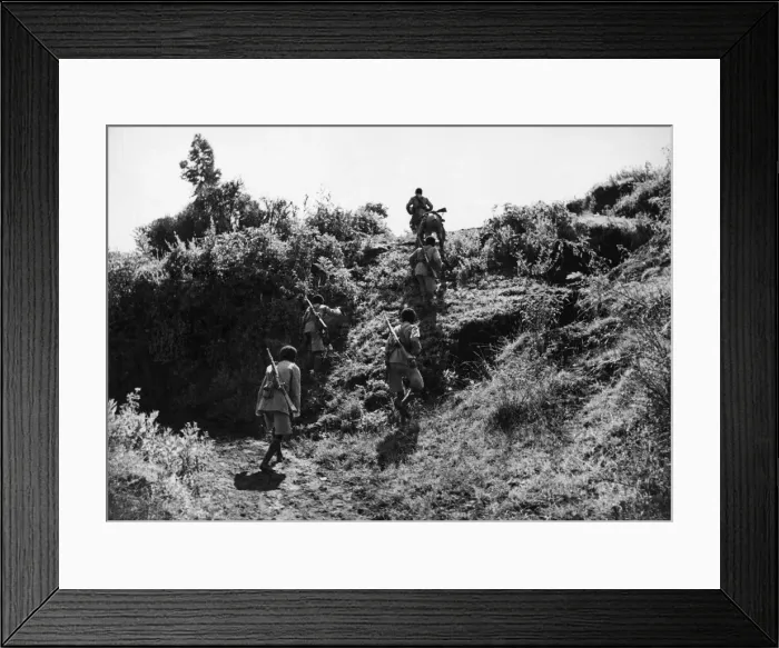 Framed Print : Abyssinian War September 1935 Abyssinian troops advancing under cover on the Ogadan Framed Print : Abyssinian War September 1935 Abyssinian troops advancing under cover on the Ogadan