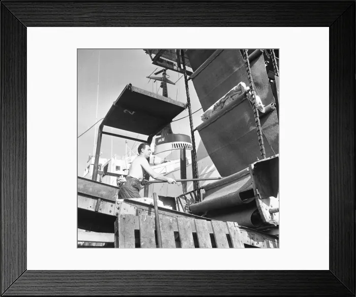 Framed Print : The crew of the St Jason seen here landing their catch of frozen cod. 22nd August 1968